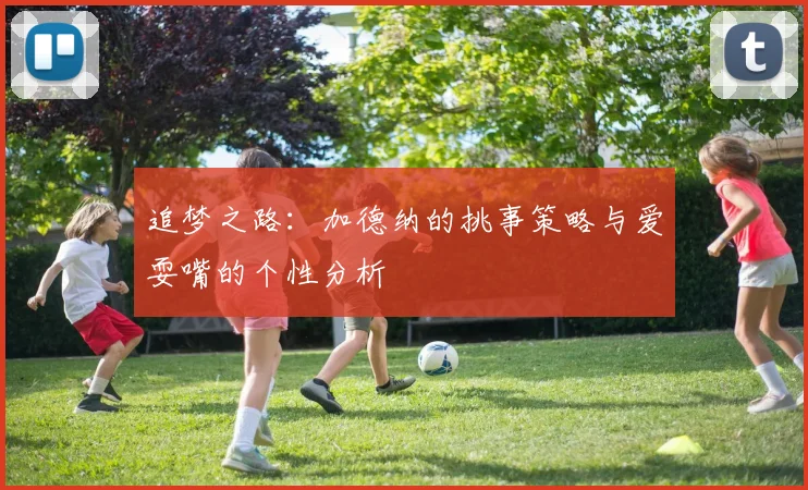 追梦之路：加德纳的挑事策略与爱耍嘴的个性分析