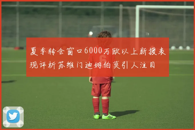 夏季转会窗口6000万欧以上新援表现评析苏维门迪姆伯莫引人注目